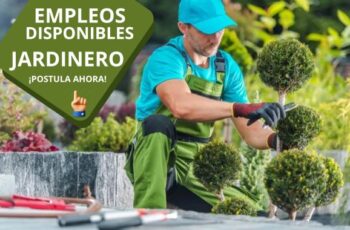 Jardinero Empleos Disponibles – Postula Ahora